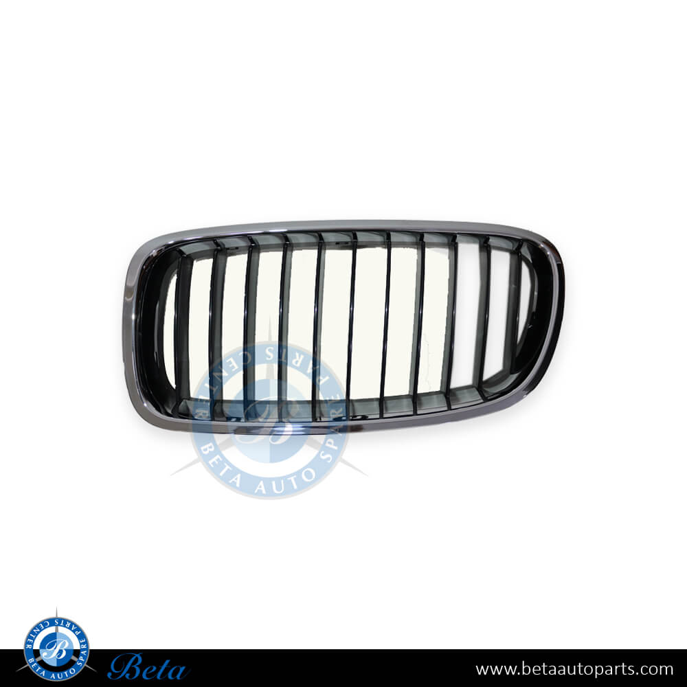 Left Side Grille for BMW 3 Series F30 2012-2018 models, Part Number 51137255411 Left Side Grille for BMW 3 Series F30 2012-2018 models, Part Number 51137255411